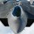 At stake is the Air Force's 21st-century strategy, which was to combine the supercharged and highly capable F-22 with the emerging joint strike fighter, an aircraft now in development that is expected to replace the F-16 as the Air Force's primary air-to-ground workhorse.